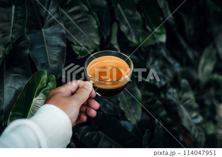 Espresso coffee in a cup in the morning Espresso coffee in a cup in the morning 114047951