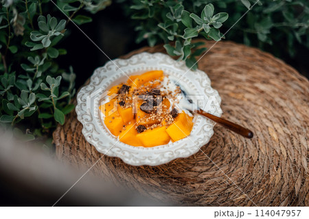 Mango yogurt in a white plate Mango yogurt in a white plate 114047957