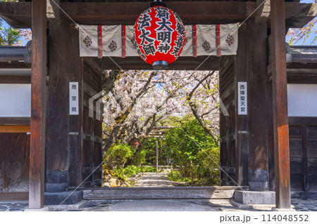 京都　雨宝院（西陣聖天）　山門　満開の桜 114048552