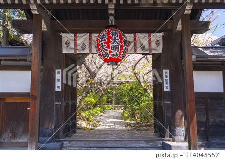 京都　雨宝院（西陣聖天）　山門　満開の桜 114048557