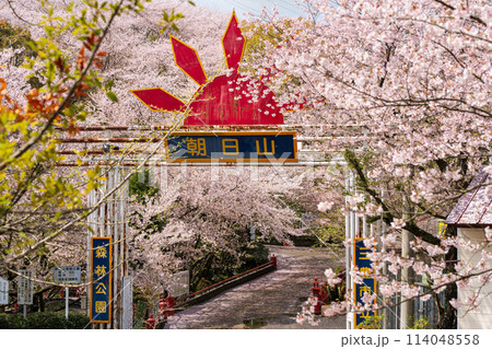 朝日山森林公園 三豊市 香川県 114048558