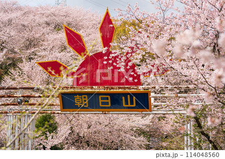 朝日山森林公園 三豊市 香川県 114048560