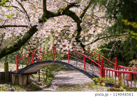 朝日山森林公園 三豊市 香川県 114048561