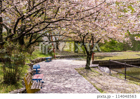 朝日山森林公園 三豊市 香川県 114048563