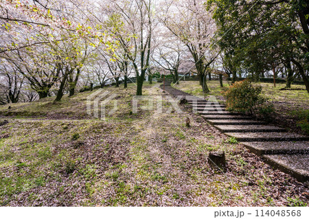 朝日山森林公園 三豊市 香川県 114048568