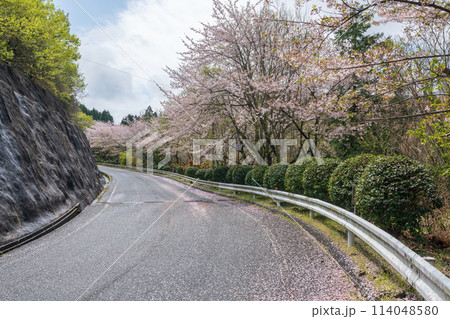 朝日山森林公園 三豊市 香川県 朝日山森林公園 三豊市 香川県 114048580