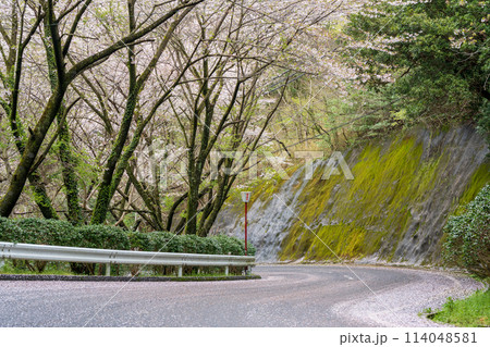 朝日山森林公園 三豊市 香川県 朝日山森林公園 三豊市 香川県 114048581