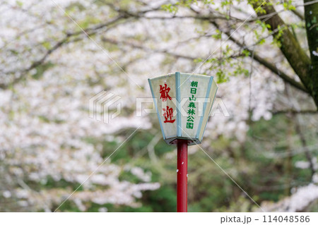 朝日山森林公園 三豊市 香川県 114048586
