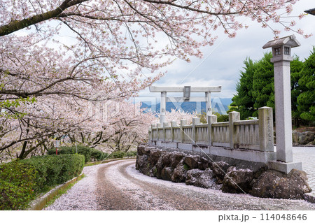 伊勢朝日山本宮 朝日山森林公園 三豊市 香川県 伊勢朝日山本宮 朝日山森林公園 三豊市 香川県 114048646