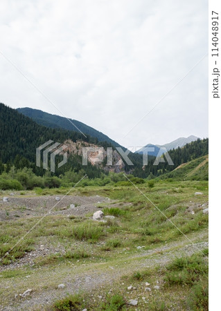 Green valley with distant mountains, cloudy sky. Grass, moss, trees, snow on mountains, light blue sky with clouds. Green valley with distant mountains, cloudy sky. Grass, moss, trees, snow on mountains, light blue sky with clouds. 114048917