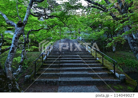 新緑の円通寺 114049027