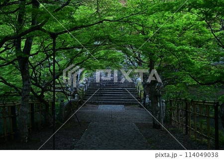 新緑の円通寺 新緑の円通寺 114049038
