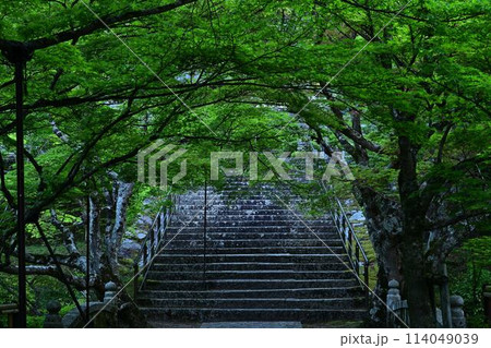 新緑の円通寺 新緑の円通寺 114049039