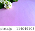 白い紫陽花 114049103