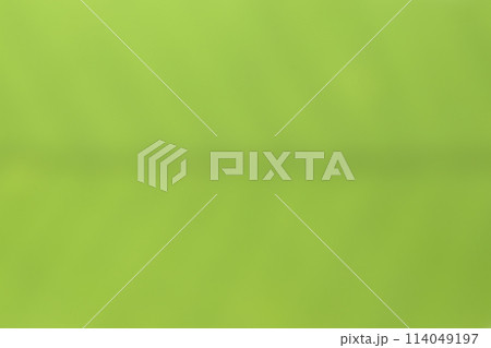 和紙によるボケ味を持つ黄緑色の背景素材 和紙によるボケ味を持つ黄緑色の背景素材 114049197