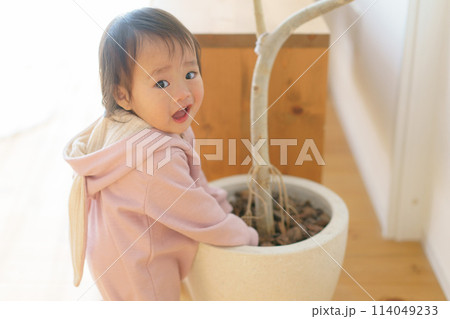 いたずらをする赤ちゃん いたずらをする赤ちゃん 114049233
