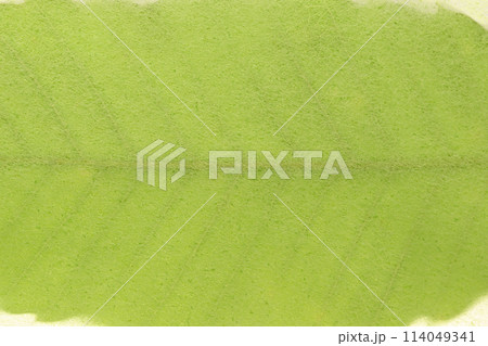 和紙とクヌギの葉のコラボ（背景素材） 114049341