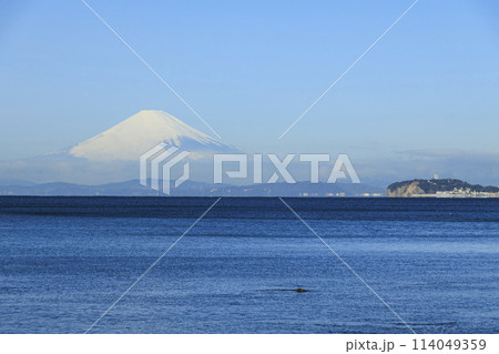 葉山から見た富士山 114049359