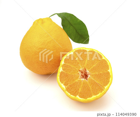 しらぬい 114049390