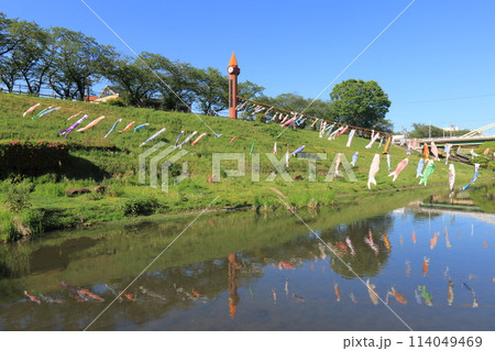 鯉のぼりが泳ぐ利根運河　運河水辺公園　千葉県流山市　　　　 114049469