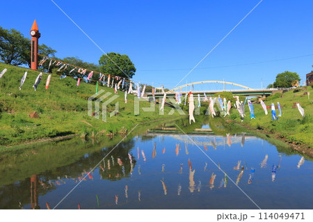 鯉のぼりが泳ぐ利根運河 運河水辺公園 千葉県流山市 鯉のぼりが泳ぐ利根運河 運河水辺公園 千葉県流山市 114049471