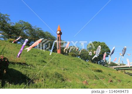 鯉のぼりが泳ぐ利根運河　運河水辺公園　千葉県流山市　　　　 114049473