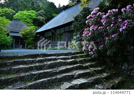 新緑の岩瀧寺 114049771