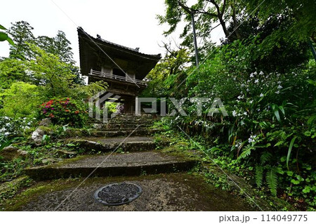 新緑の岩瀧寺 新緑の岩瀧寺 114049775