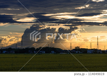 夕焼けの大きな積乱雲 夕焼けの大きな積乱雲 114049819