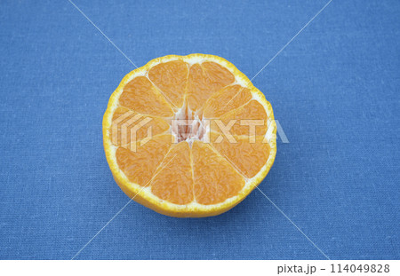 しらぬい 114049828