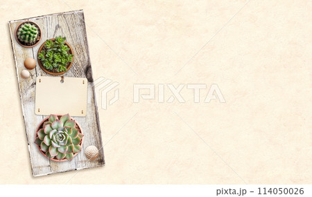 Home garden, hobby and leisure concept. Gardening and floriculture. Background with paper label, wood beads, cactus and succulents in pot on old wooden board. Mock up template. Copy space for text Home garden, hobby and leisure concept. Gardening and floriculture. Background with paper label, wood beads, cactus and succulents in pot on old wooden board. Mock up template. Copy space for text 114050026