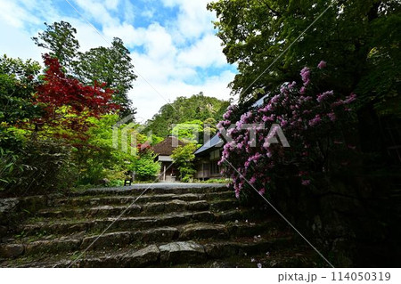 新緑の岩瀧寺 新緑の岩瀧寺 114050319