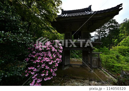 新緑の岩瀧寺 新緑の岩瀧寺 114050320