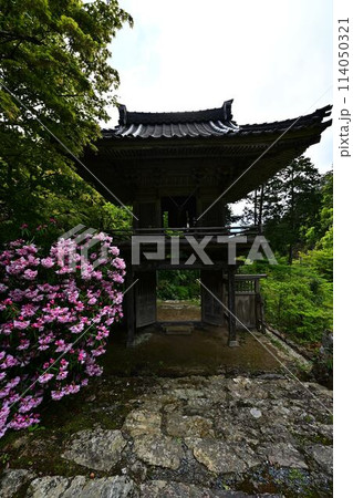 新緑の岩瀧寺 新緑の岩瀧寺 114050321