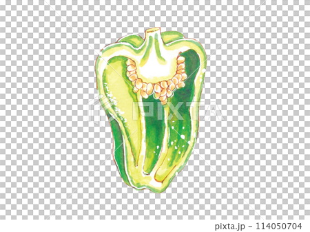 ピーマン 半分カット 手描き コピック ピーマン 半分カット 手描き コピック 114050704