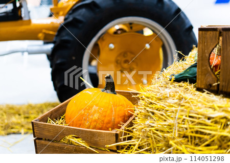 Orange halloween pumpkins on stack of hay or straw in sunny day, fall display Orange halloween pumpkins on stack of hay or straw in sunny day, fall display 114051298