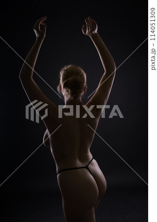 Seductive body nude woman. Naked sensual beautiful female. Artistic silhouette photo. 114051309