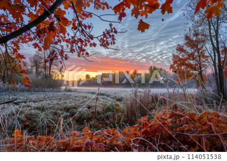 Crisp Dawn with Autumn Leaves and Frosted Fieldsのイラスト素材 [114051538] - PIXTA