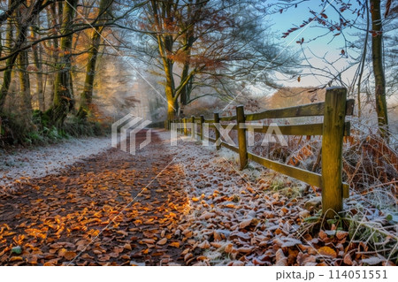Frosty Country Path with Autumn Leaves at Sunrise 114051551
