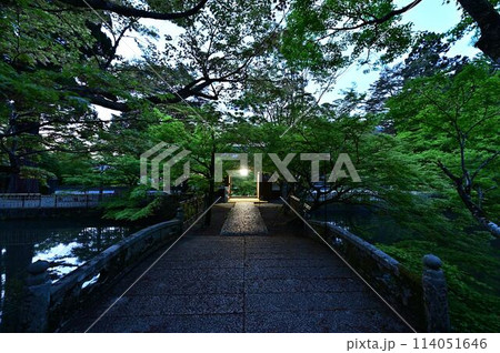 新緑の円通寺 114051646