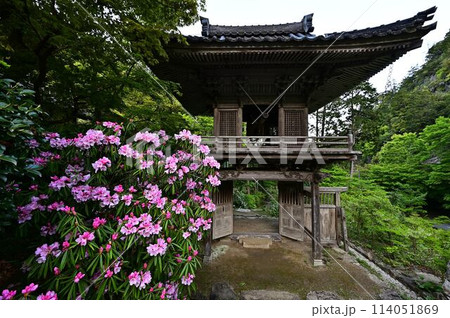 新緑の岩瀧寺 114051869