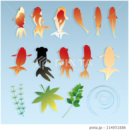 金魚素材イラストセット 114051886