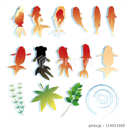 金魚素材イラストセット 114051889