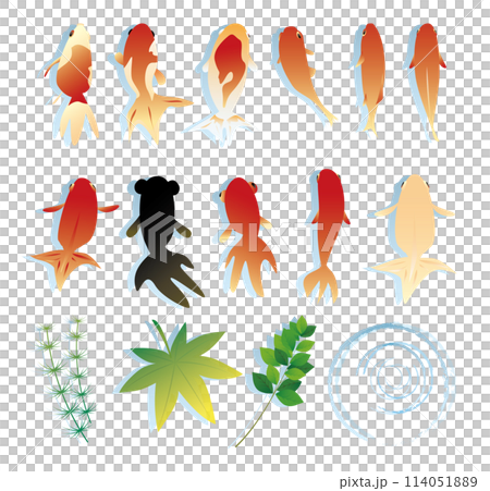 金魚素材イラストセット 114051889