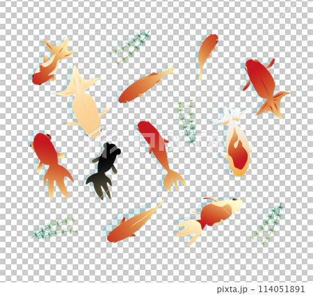 Cool summer Japanese style image background Cool summer Japanese style image background 114051891