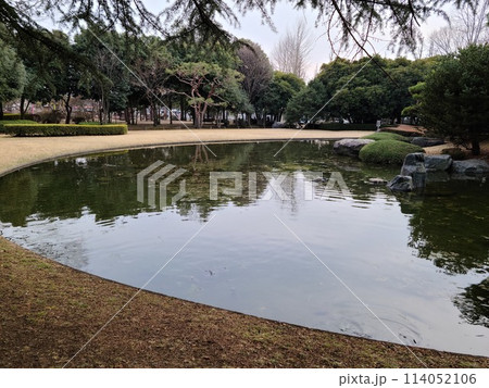 美しい公園の池 114052106