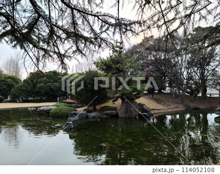 美しい公園の池 114052108