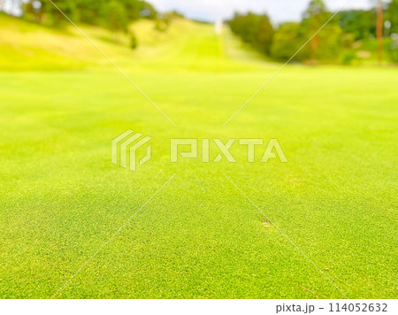 白い旗の立つゴルフ場のグリーン 白い旗の立つゴルフ場のグリーン 114052632
