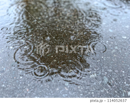 雨の日の水たまり 雨の日の水たまり 114052637
