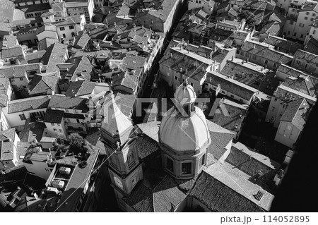 Black and white photo capturing historic Bologna center and Church of Saints Bartholomew and Cajetan 114052895